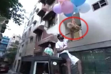 ஹீலியம் பலூனில் நாயை கட்டி பறக்கவிட்ட நபர்... காணொளியால் நபருக்கு கிடைத்த ஆப்பு