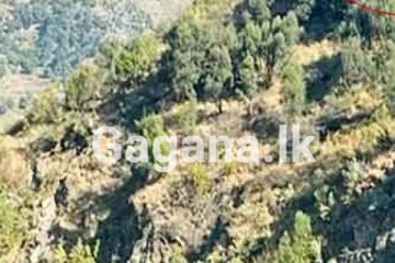 බදුල්ල දිස්ත්‍රික්කයේ ජනතාවට අනතුරු ඇඟවීමක්...