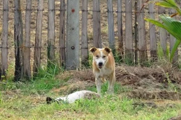 யாழ்.மாநகர சபை பொது மக்களிடம் விடுத்துள்ள முக்கிய கோரிக்கை