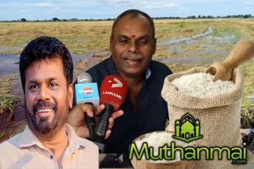 மீண்டும் பொருளாதார வீழ்ச்சியை நோக்கி பயணிக்கும் இலங்கை : மக்கள் விசனம்