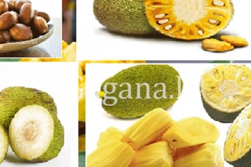 හිතාගන්නවත් බැරි විදිහට කොස් ..දෙල්.. පොලොස්.. මිල ගණන් වල විශාල වෙනසක්.