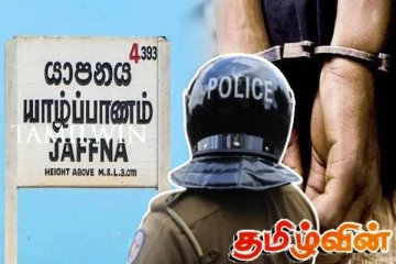 யாழில் பசு மாட்டைத் திருடி இறைச்சியாக்கிய சந்தேகநபர்கள் கைது