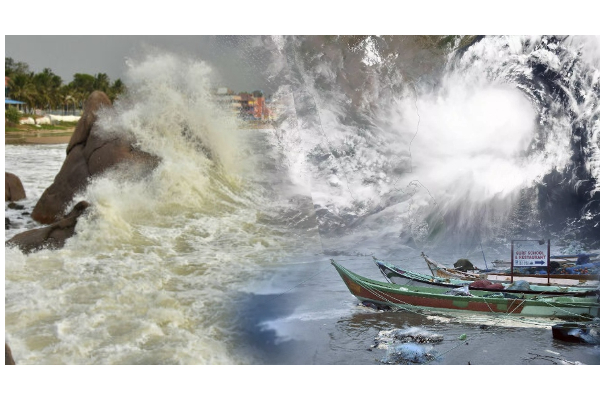 ஆந்திராவை புரட்டிப்போட்ட ‘அசானி புயல்’ - 1000 ஏக்கர் பயிர்கள் சேதம் - மக்களின் இயல்பு வாழ்க்கை பாதிப்பு | Asani Storm