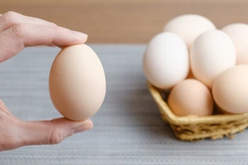 முட்டை சாப்பிட்டால் கொலஸ்ட்ரால் அதிகரிக்குமா?