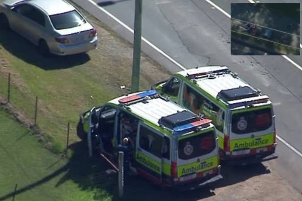 two killed ute hit in queensland