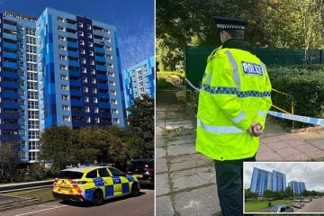 பிரித்தானியாவில் 3 கொலை செய்த குற்றச்சாட்டில் சிறுவன் ஒருவர் கைது