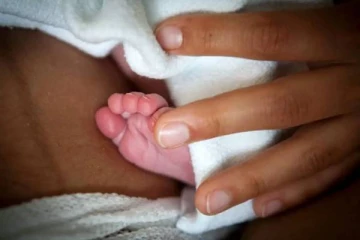 கனடா எல்லை அருகே வனப்பகுதியில் பிள்ளை பெற்றெடுத்த பெண்: வெளிவரும் புதிய தகவல்