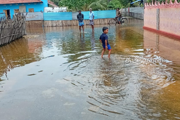 பல இலட்சம் ரூபா செலவில் அமைக்கப்பட்ட வடிகாலின் தற்போதைய நிலை.. | Drainage Constructed Cost Several Lakhs Rs Soil