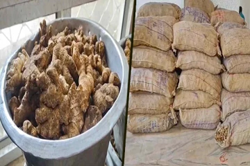 தமிழகத்திலிருந்து இலங்கைக்கு கடத்தவிருந்த 2 தொன் இஞ்சி பறிமுதல்