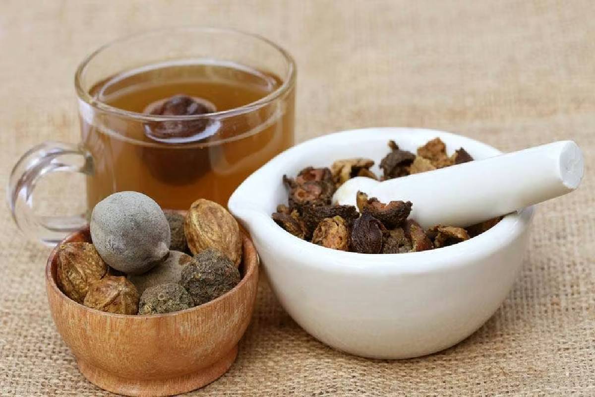 தொப்பை முதல் மலச்சிக்கல் வரை மருந்தாகும் கடுக்காய் - நன்மைகள் பற்றி தெரியுமா? | Kadukkai Benefits In Tamil