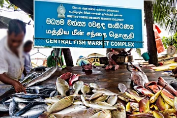 பேலியகொட மீன் சந்தை தொடர்பில் முன்வைக்கப்பட்ட குற்றச்சாட்டு