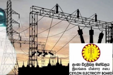 பெரும் பொருளாதார நெருக்கடியை எதிர்நோக்கியுள்ள இலங்கை மின்சார சபை!