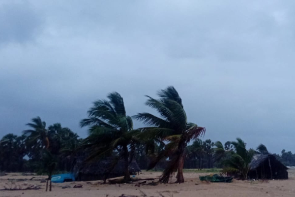 யாழில் சுழன்றடித்த காற்று ; மறு அறிவித்தல் வரை செல்ல வேண்டாம், மக்களுக்கு வெளியான அறிவிப்பு | Cyclone Hits Jaffna Public Issued Warning யாழில் சுழன்றடித்த காற்று ; மறு அறிவித்தல் வரை செல்ல வேண்டாம், மக்களுக்கு வெளியான அறிவிப்பு | Cyclone Hits Jaffna Public Issued Warning