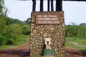 யால தேசிய பூங்காவில் துப்பாக்கிச் சூடு ; வேட்டைக்காரர் ஒருவருக்கு காயம்