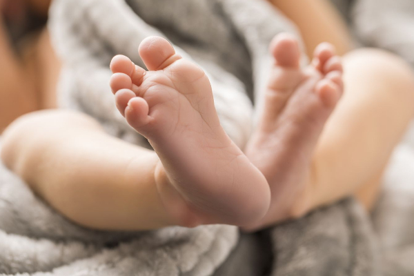 யாழில் பிறந்த இரட்டை குழந்தைகள் உயிரிழந்த துயரம் ; உடற்கூற்று மாதிரிகள் கொழும்பிற்கு | Tragedy Over The Deaths Of Twins Born In Jaffna யாழில் பிறந்த இரட்டை குழந்தைகள் உயிரிழந்த துயரம் ; உடற்கூற்று மாதிரிகள் கொழும்பிற்கு | Tragedy Over The Deaths Of Twins Born In Jaffna