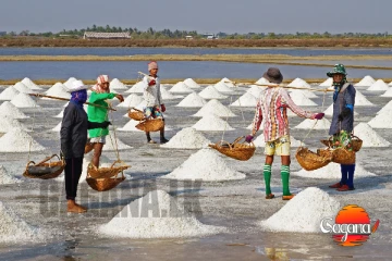 ආයේ ලුණු රටින් ගේන ඕනි නෑ - මෙන්න හේතුව