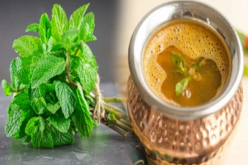 ஏராள மருத்துவ குணம் கொண்ட புதினா ரசம் இப்படி செய்து பாருங்க!சுவையில் நாக்கு திரழும்