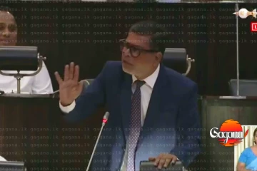 අනුර පාර්ලිමේන්තුවට ගර්ල්ෆ්‍රෙන්ඩ් බෝයිෆ්‍රෙන්ඩ්ව ගෙනාවා - ගෙදර නෝනා එක්ක ඔරොප්පු වෙලා අපෙන් අල්ලන්න එපා