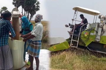 மன்னார் விவசாயிகளுக்கு ஏற்பட்டுள்ள அவல நிலை