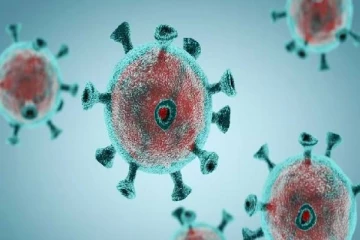 அதிகரிக்கும் புதியவகை கொரோனா திரிபு JN.1: இந்திய அரசின் அடுத்த கட்ட நடவடிக்கை