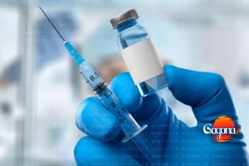 ඉතිහාසය වෙනස් කරමින් විශ්වීය එන්නතක් - ‍රෝග රැසකට ලාංකික මහාචාර්යවරයෙක්ගෙන් විසඳුමක්