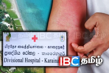 யாழில் விஷப்பாசி தாக்கத்தால் அறுவர் வைத்தியசாலையில்!