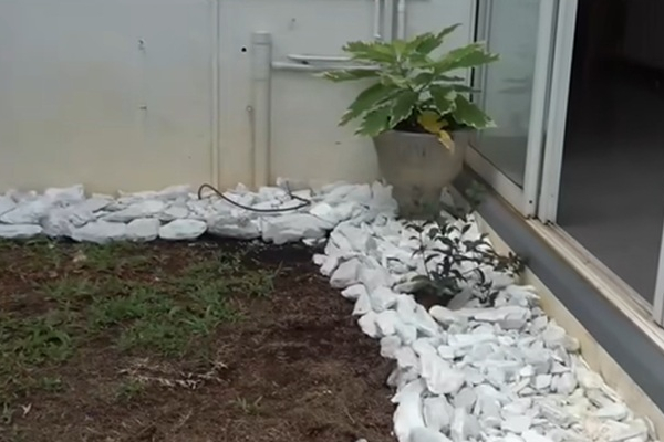 கந்தானை வீட்டில் தோட்ட அலங்காரமாக ஐஸ் இரசாயனங்கள் | Ice Chemicals Used Garden Decor At Kandana House