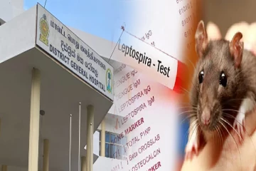 வவுனியாவில் எலிக் காய்ச்சலால் இளைஞர் மரணம்