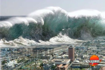 ප්‍රචණ්ඩ සුනාමියක් ගැන භයානක අනාවැකියක්