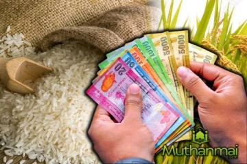 குறைந்த விலை அரிசி : அமைச்சர் வெளியி்ட்ட தகவல்