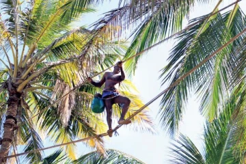 " රා" මදින්න පුහුණු පාඨමාලාවක්. 80,000ට වැඩි ඉපැයීමක්.