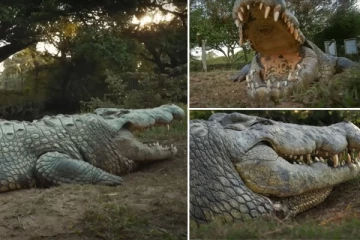 6 மனைவிகள், 10,000 குழந்தைகள்..!உலகின் மிக வயதான முதலை பற்றி தெரியுமா?