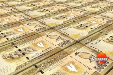 මේ දේවල් අහිමි වුණානම් රජයෙන් එක් පවුලකට රුපියල් කෝටියක්