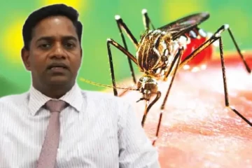யாழ். மாவட்டத்தில் அதிகரிக்கும் டெங்கு நோயாளர்களின் எண்ணிக்கை: பணிப்பாளர் த.சத்தியமூர்த்தி