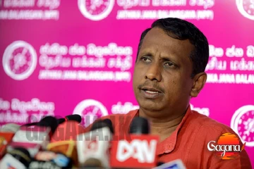 පොල් ගෙඩි කෝටි 20ක් රිලව් කාලා - ඇමති සමන්ත