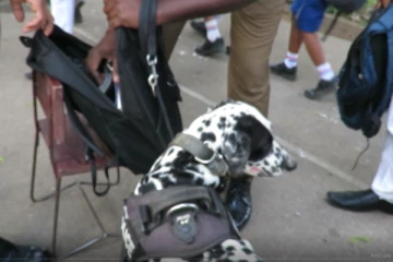 மட்டக்களப்பு பாடசாலைக்குள் திடீரென புகுந்த மோப்ப நாய்களால் பரபரப்பு (Video)