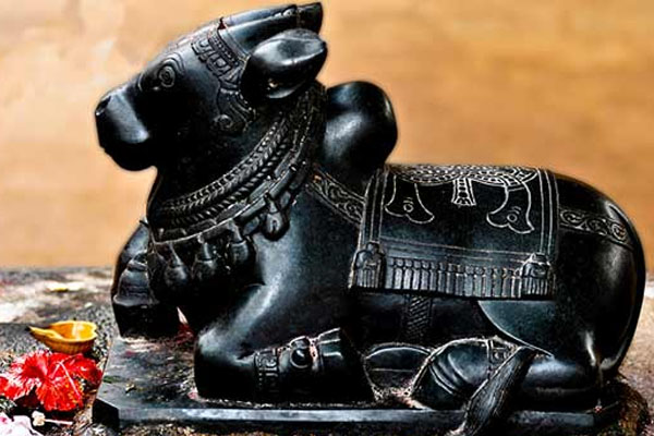 இந்த 8 பொருட்களும் சிவனுடன் இருப்பதற்கு இது தான் காரணமா? | Reason Why These 8 Objects Are With Shiva