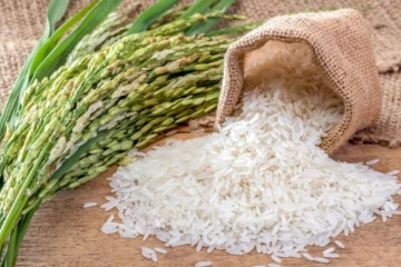 இலங்கை மக்களுக்கு அமைச்சர் வெளியிட்ட மகிழ்ச்சி தகவல்!