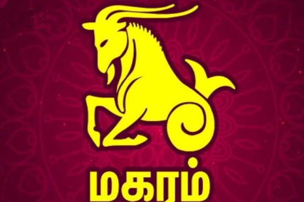 சனிப்பெயர்ச்சியால் இந்த ராசிக்காரர்களுக்கு இனி இதெல்லாம் நடக்கும்! | Sani Peyarchi All This Will Happen To Capricorn