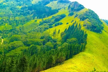 மலைத்தொடரில் சிக்கிக்கொண்ட பல்கலைக்கழக மாணவர்கள்!