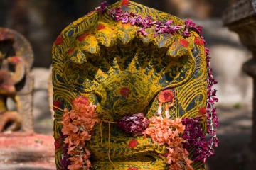 பாடாய் படுத்தும் ராகு-கேது தோஷத்தையே தலைத்தெறிக்க ஓட விடனுமா? கருட பஞ்சமி அன்று இத செய்யுங்க!