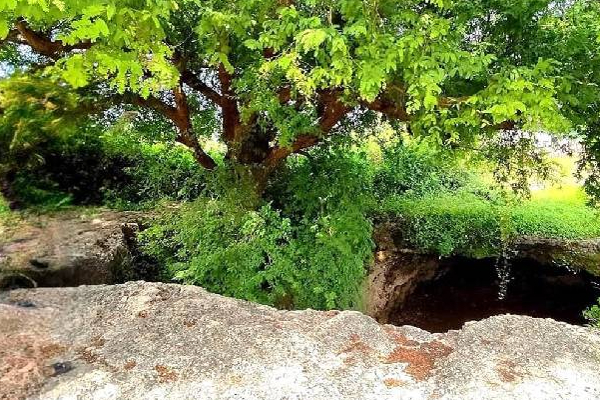 யாழில் சங்கிலியன் மன்னன் பதுங்கியிருந்த இரகசிய குகை! | Secret Cave Cankili I Jaffna Kingdom King யாழில் சங்கிலியன் மன்னன் பதுங்கியிருந்த இரகசிய குகை! | Secret Cave Cankili I Jaffna Kingdom King