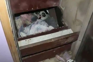 2 ஆண்டுகளாக காணாமல் போன சிறுமி! படிக்கட்டின் கீழ் கண்டுப்பிடித்த போலீசார்.. அதிர்ச்சி சம்பவம்;