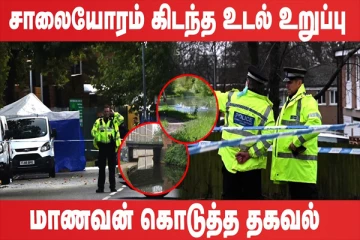 சாலையோரம் கிடந்த உடல் உறுப்பு (உலக செய்திகளின் ஓர் தொகுப்பு)
