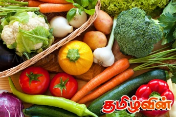 மரக்கறிகளின் விலையில் வீழ்ச்சி