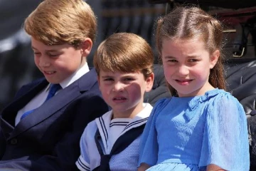 பிரித்தானிய குட்டி இளவரசர் லூயிஸுக்கு தனியாக பரிமாறப்படும் கிறிஸ்துமஸ் விருந்து: வெளியான காரணம்