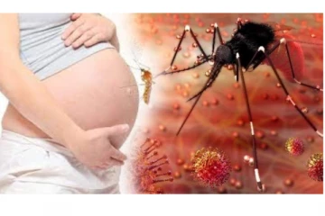 கேரளாவில் அதிபயங்கரமான ‘ஜிகா’ வைரஸ் தொற்று ஆரம்பம் - பாதிப்பு எண்ணிக்கை 28 ஆக உயர்வு - மக்கள் அச்சம்