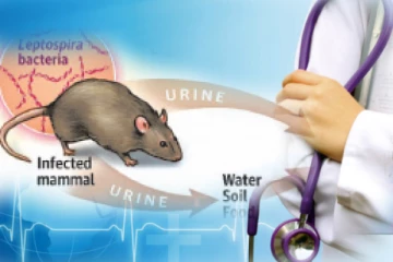 நாட்டில் பரவும் மற்றுமொரு நோய்: சுகாதார பிரிவு எச்சரிக்கை