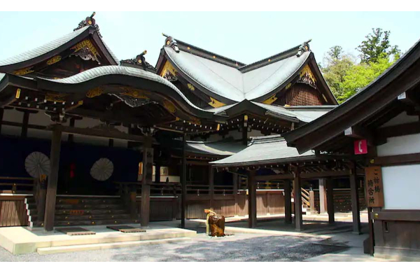 உலகில் திகிலூட்டும் மர்ம இடங்கள்: தங்க ஈட்டி பாம்பு கேள்விப்பட்டதுண்டா? | Most Mysterious Places World