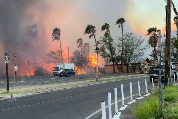 அமெரிக்காவில் 36 பேரை பலியெடுத்த ஹவாய் காட்டுத் தீ | Wildfires Devastate Hawaii S Maui Island Update